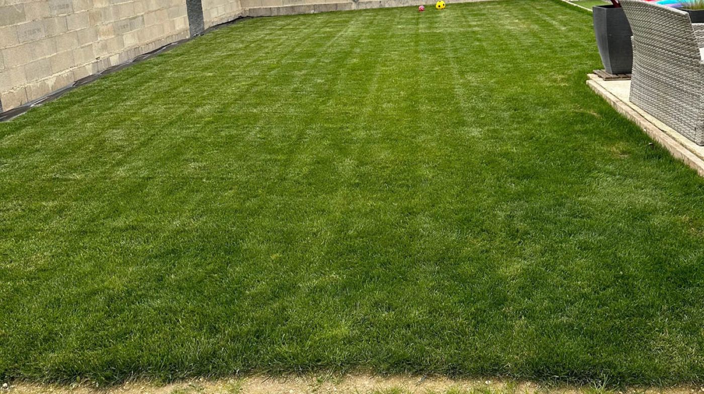Semis de gazon dans un jardin clos — Avant / Après