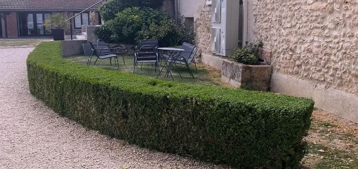 Haie basse taillée le long d'une terrasse gravillonnée — aménagement paysager Jardin Idéal