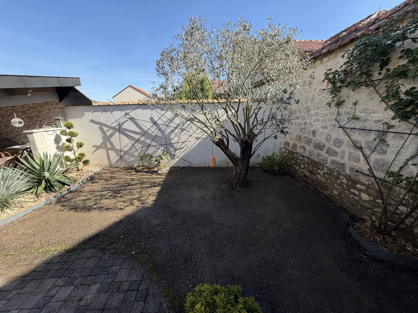 Aménagement et plantation d'une cour