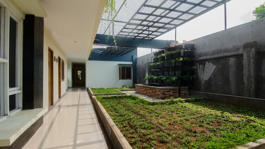Cour contemporaine avec jardin vertical, style architectural